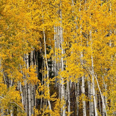 Aspen Springs Angel Fire Exterior foto